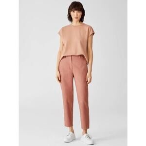 Eileen Fisher Organic Cotton Hemp Tapered Pants 14 Rust EUC Minimal Sustainable